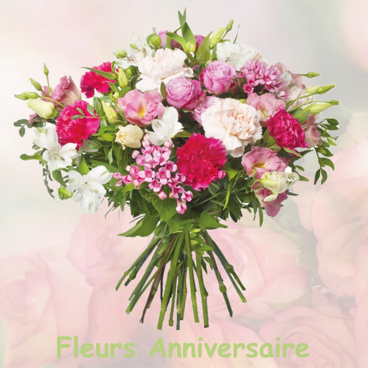 fleurs anniversaire BELLEGARDE-DU-RAZES